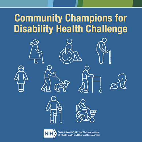 Icons for People With Disabilities and Social Media Ads